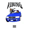 Wealthy Baby - Vibing - Single